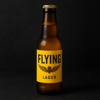 Flying